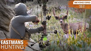 Velvet Mule Deer - Bow Hunting Backcountry Bucks