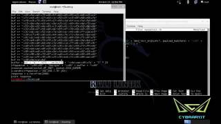 Advanced Penetration Module 12 Part 13 Exploit Development from cybrary2 on Vimeo