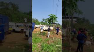 വാണിയംകുളം ചന്ത | vaniyamkulamkulam market | 🙄