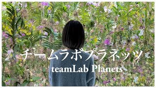 teamLab Planets (チームラボプラネッツ)豊洲にいったよ。②日常vlog / Toyosu Tokyo