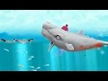 - Moby Dick - Hungry Shark Evolution   Gameplay