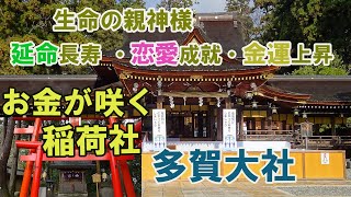 生命の親神様【多賀大社】縁結びのパワースポット・延命長寿・社運隆昌・【金咲稲荷神社】お金が咲く稲荷社として信心が厚い神社。