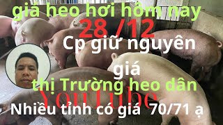 Giá heo hơi hôm nay 28/12/2024 tăng giảm trái chiều. Một số tỉnh đạt 70/71  achi  xem tham khảo ạ 💕