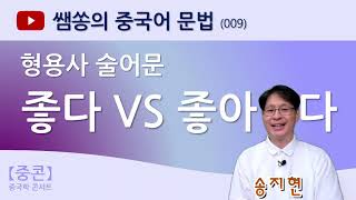 【중콘】 [쌤쏭의 중국어 문법] (009) 형용사 술어문 | 좋다 | 좋아하다 | 形容词  | 한중언어대조 | 중국어 품사 | 문법용어 바로 알기