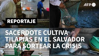 Sacerdote cultiva tilapias para sortear crisis por pandemia en El Salvador | AFP