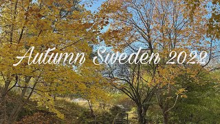 พาชมใบไม้เปลี่ยนสีริมทะเลสาป Autumn Sweden 2022 🍁🍂🇸🇪