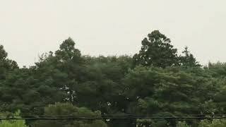 ウェザーリポート動画0808@千葉県旭市18:30 台風13号 雨と風の様子 （トミーD）