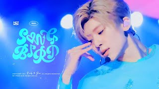 [4K] 240721 NCT WISH - SONGBIRD 송버드 시온 직캠 fan cam (SION FOCUS) 2024 SUMMER 가요대전