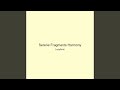 Serene Fragments Harmony