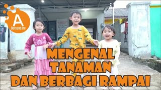 Mengenal Tanaman Dan Berbagi Rampai