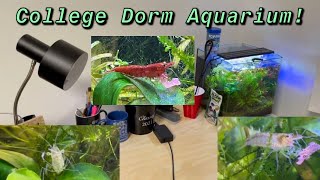 Setting up my Dorm Aquarium! | FIRST TIME STARTING A SHRIMP AQUARIUM | 3.7 gallon imagitarium