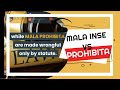 MALA IN SE VS MALA PROHIBITA.mp4