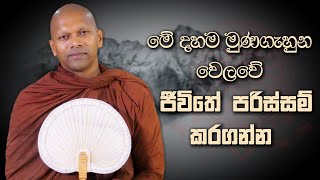 මේ දහම මුණගැහුන වෙලවේ ජීවිතේ පරිස්සම් කරගන්න | Niwana Soya | Niwathapa Thero #bana #sinhala #buddha