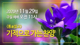 11월 29일 주일예배, 조병호 통박사 채널을 통해 함께 드리겠습니다.