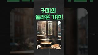 커피의 놀라운 기원! ☕️ 알면 더 맛있는 커피 이야기