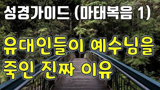 성경가이드 (마태복음 1) - 유대인들이 예수님을 죽인 진짜 이유 - 죽알성