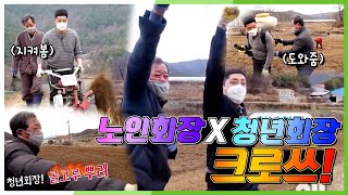 [6시 내고향] [청년회장이 간다!] 죽전마을 노인회장★청년회장 환상 케미!! 죽전마을의 자랑, 약쑥 수확·판매 | KBS 210308 방송