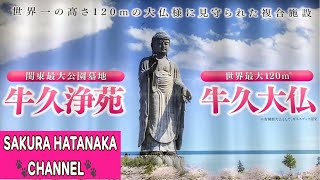 Ushiku Daibutsu 牛久大仏 in Ibaraki Japan