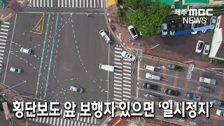 [제주MBC뉴스] 횡단보도 앞 보행자 있으면 '일시 정지' / 2022년 7월 12일