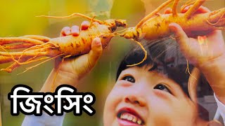 কোরিয়ান লাল জিংসিং | জিং সিং এর স্বর্গরাজ্য দক্ষিণ কোরিয়া|| #onthegokorea