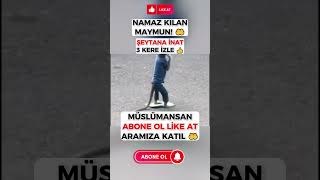 Namaz Kılan Maymun #shorts