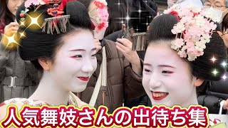 美人舞妓さんを接写 ファン殺到の様子 京都節分祭 令和７年 Maiko