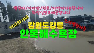 (노지정보)캠핑카여행/강아지랑/강원도강릉/안목해수욕장도착/커피골목으로유명하죠~^^/캠핑카.차박.카라반가능.화장실깨끗합니다