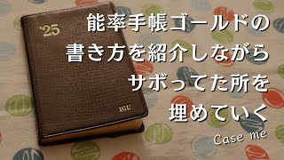 【能率手帳ゴールド】私の書き方紹介と、日記を書いていく作業【手帳タイム】　＃399