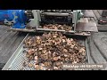 vietnam cashew nut shelling machine 4 head cashew cracking machine cashew cutting machine