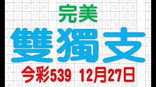 【今彩539神算】12月27日 今彩539 雙獨支