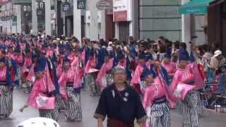 京町･新京橋「ゑびすしばてん連」（よさこい祭り2013・帯屋町）