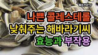 나쁜 콜레스테롤 낮춰주는 해바라기씨 효능/부작용/구입방법/보관과 손질법 #sunflowerseeds