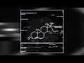 SQL2VD - Testosterone - Slowed