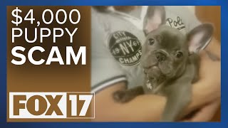 Watch Out For Puppy Scammers! This woman was scammed out of thousands of dollars.