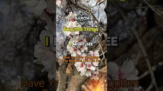 Baron Music -  beautiful things  -   #deeplyrics #music #baronmusic #musicmix #disconnected