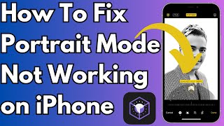 How To Fix Portrait Mode Not Working on iPhone Camera After Update