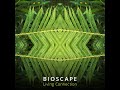 bioscape nature essence living connection