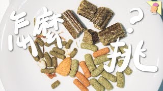 【侑敏Yomin】如何挑選兔子飼料？綜合、發泡、壓縮？／內有歲末抽獎文，記得要看完！