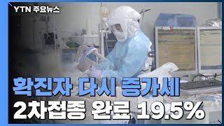 확진자 다시 증가세...2차접종 완료 19.5% / YTN