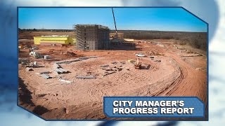 City Manager's Progress Report: January 2017