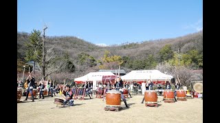 【各務原太鼓保存会】岐阜梅林公園 第71回梅まつり 20240303