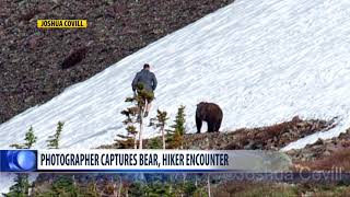 Photographer captures hiker’s close encounter with grizzly in Glacier NP