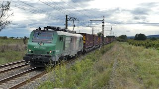 Trainspoting du 18 au 25/10/2024