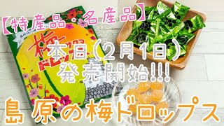 【特産品】島原の梅ドロップス🍬