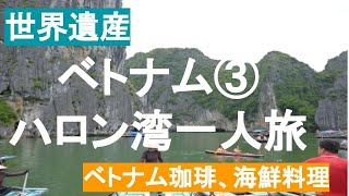 【ベトナム ハロン湾】旅行記③ クルーズと食べ歩き #世界遺産#洞窟#海鮮料理#ベトナム珈琲