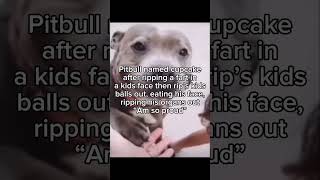 “Cupcake am so proud of you 😢” #meme #pitbull #dog #smile