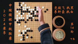 2024赛季围甲联赛第14轮党毅飞vs李轩豪下 #围棋 #围棋入门 #围棋教学