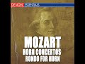 horn concerto no. 4 in e flat major kv. 495 iii. rondo allegro vivace