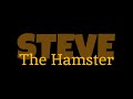 Steve the Hamster - release trailer