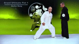 Tai Chi combat tai chi chuan fight style use tai chi - lesson 4